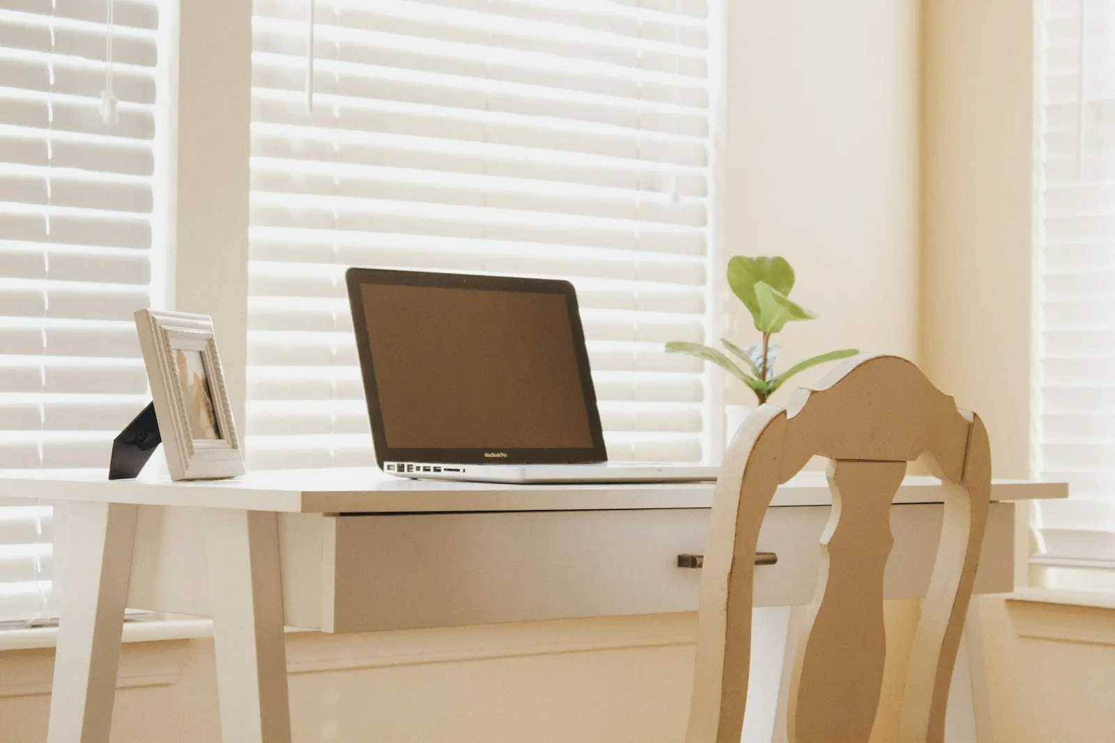 Laptop and plant on a wooden work desk